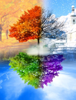 Без бренда «Четыре сезона одного дерева» в Липецке