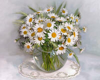 Без бренда «2KMA-0021» в Липецке