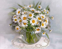 Без бренда «2KMA-0021» в Липецке