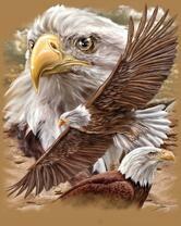 Без бренда «2KMB-4315» в Липецке