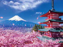 Без бренда «2KSB-7277» в Липецке