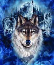 Без бренда «2KXSB-0687» в Липецке