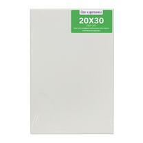 Без бренда «Коробка 80 шт.: Холст Две картинки на подрамнике 20X30» в Липецке