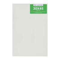 Без бренда «Коробка 40 шт.: Холст Две картинки на подрамнике 30X45» в Липецке