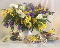 Без бренда «Натюрморт из мимоз и колокольчиков (20шт)» в Липецке