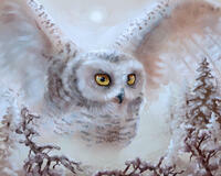 Без бренда «Полярная сова над лесом (20шт)» в Липецке