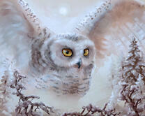 Без бренда «Полярная сова над лесом (20шт)» в Липецке