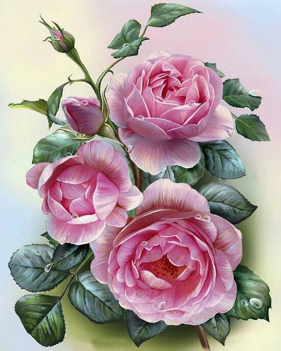 Алмазная мозаика 40x50 Полноводные розовые розы