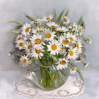 Без бренда «Букет свежих ромашек» в Липецке в интернет-магазине  Без бренда «Букет свежих ромашек» в Липецке