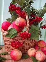 Без бренда «Коробка 25 шт. картин по номерам BOX25-GX5174» в Липецке