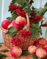 Без бренда «Плетёная корзина с калиной и яблоками» в Липецке