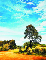 Без бренда «Осенний пейзаж с голубым небом» в Липецке в интернет-магазине  Без бренда «Осенний пейзаж с голубым небом» в Липецке