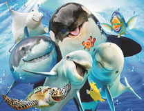 Веселые жители океана