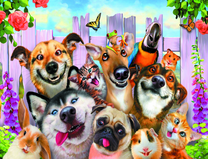 Веселые домашние питомцы