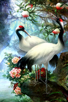 Без бренда «Коробка 25 шт. картин по номерам BOX25-GX29399» в Липецке в интернет-магазине  Без бренда «Коробка 25 шт. картин по номерам BOX25-GX29399» в Липецке