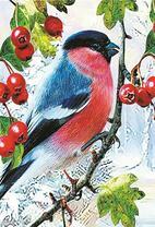 Снегирь на ветке рябины